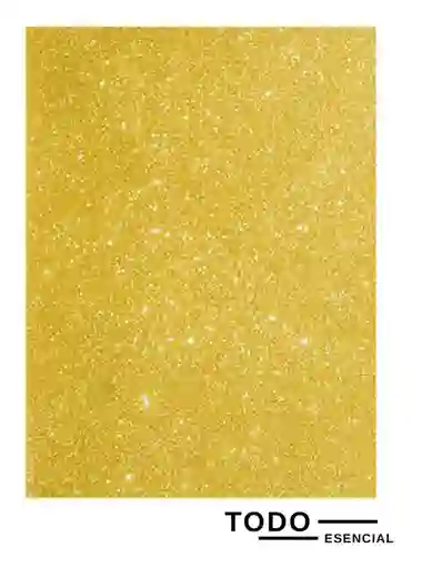 Foami Dorado Mirellado Fomi Medio Pliego