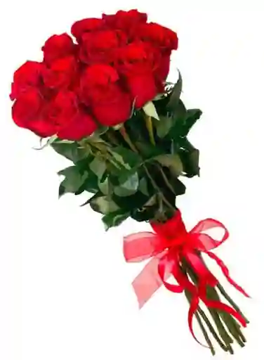 Rosas Rojas