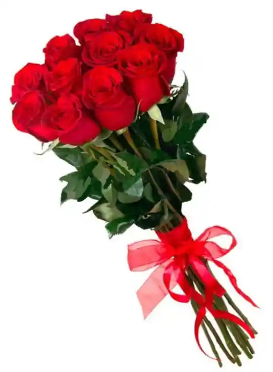 Rosas Rojas