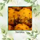 300 Semillas Orgánicas De Pitahaya Amarilla