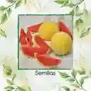 36 Semillas Orgánicas De Sandía Baby Dorada