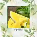 10 Semillas Orgánicas De Sandía Pulpa Amarilla Moon & Stars