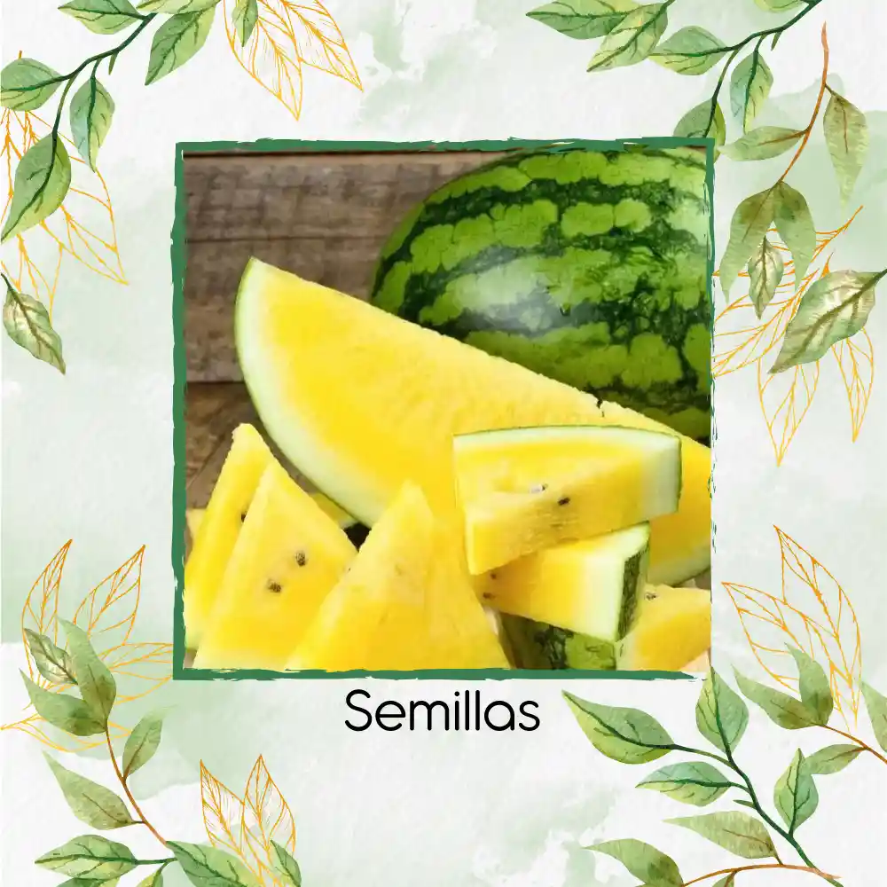 10 Semillas Orgánicas De Sandía Pulpa Amarilla Moon & Stars