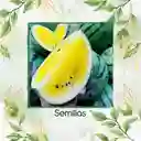 20 Semillas Orgánicas De Sandía Pulpa Amarilla Moon & Stars