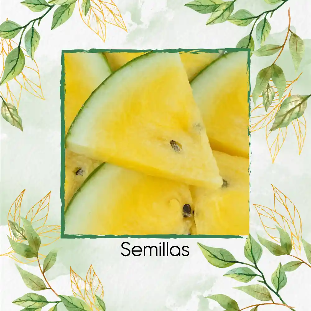 20 Semillas Orgánicas De Sandía Pulpa Amarilla Moon & Stars