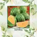 18 Semillas Orgánicas De Sandía Tierna Naranja