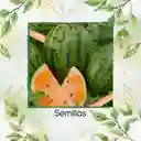 18 Semillas Orgánicas De Sandía Tierna Naranja