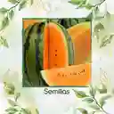 36 Semillas Orgánicas De Sandía Tierna Naranja