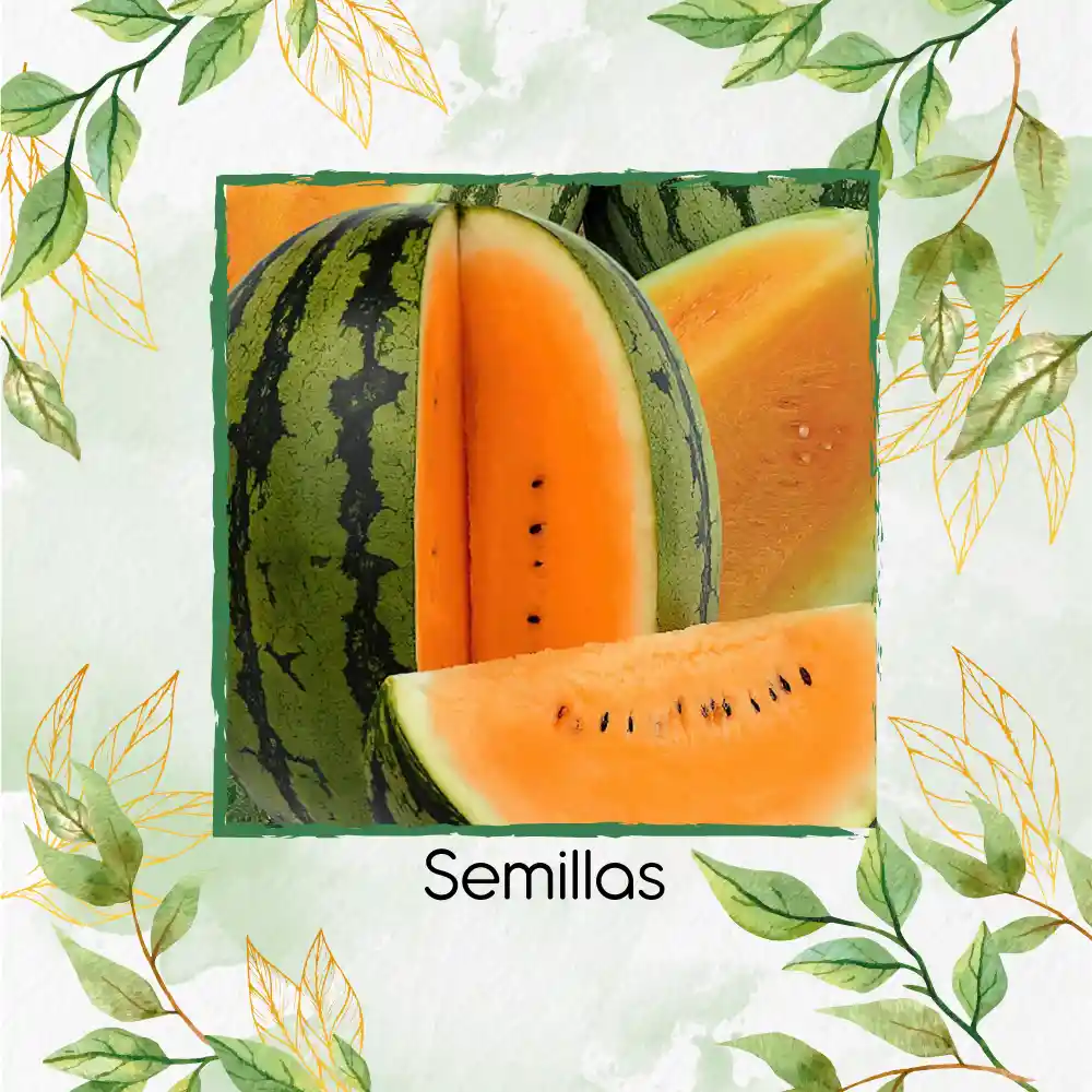 36 Semillas Orgánicas De Sandía Tierna Naranja