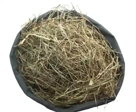 Heno Pangola 1kg Para Conejos