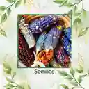 100 Semillas Orgánicas De Maíz De Colores Carousel