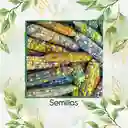 100 Semillas Orgánicas De Maíz De Colores Carousel