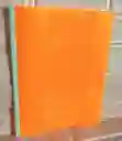 Carpeta Bisel Carta Naranja Neon