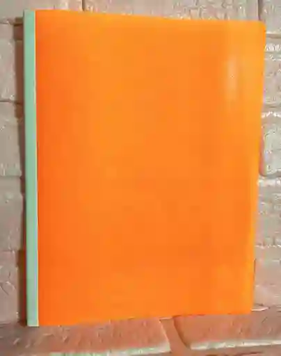 Carpeta Bisel Carta Naranja Neon