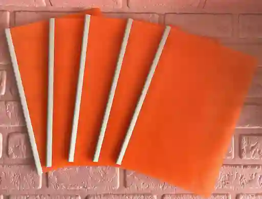 Carpeta Bisel Oficio Naranja Neon