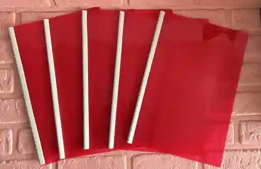 Carpeta Bisel Oficio Roja