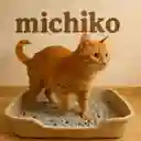 Arena Para Gatos Michiko Carbon Activado 10kg