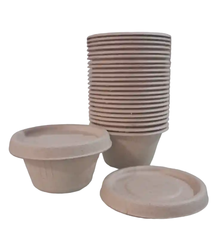 Salsero Con Tapa 2 Onzas De Caña De Azúcar X 50 Unidades