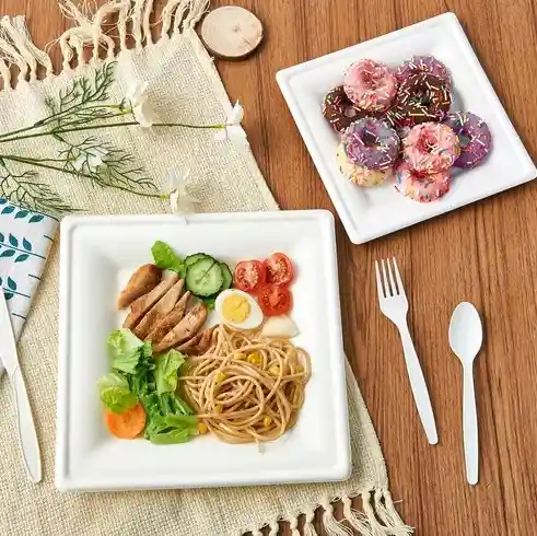 Plato Ecológico Cuadrado Grande X 10 Unidades