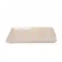 Bandeja #8 Mediana (22x17cm) Cartón Ecológico X 20 Unidades