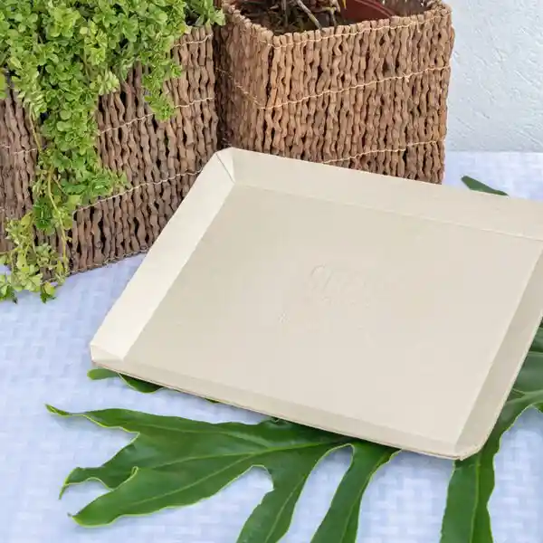 Bandeja #25 Grande (28x21cm) Cartón Ecológico X 20 Unidades