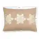 Cojin Expressions Copo Nieve 35x50cm Beige Algodon