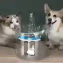 Bebedero De Mascotas Con Sensor