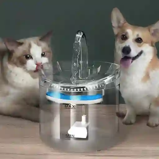 Bebedero De Mascotas Con Sensor