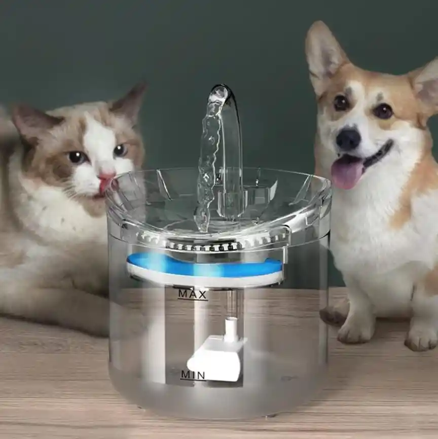 Bebedero De Mascotas Con Sensor