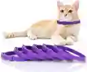 Collar De Fereomonas Gatos 38 Cm Control Ansiedad Y Marcaje Estres Feromonas Gatos