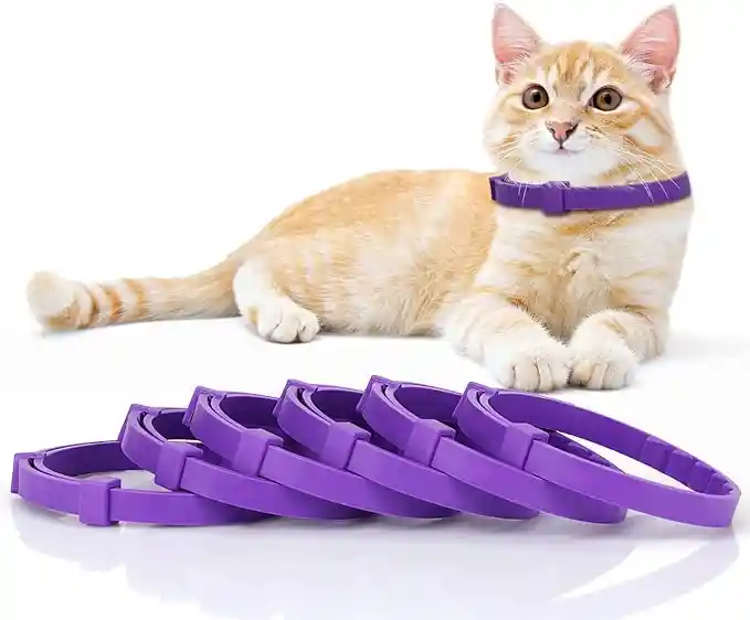 Collar De Fereomonas Gatos 38 Cm Control Ansiedad Y Marcaje Estres Feromonas Gatos