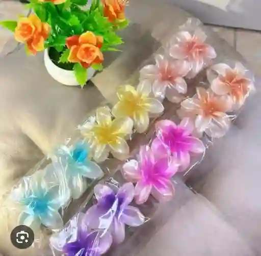 Caiman Pinza Para El Cabello Tipo Flor Diseños Varios