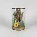 Pesebre Navidad Sagrada Familia Tipo Terrario #5