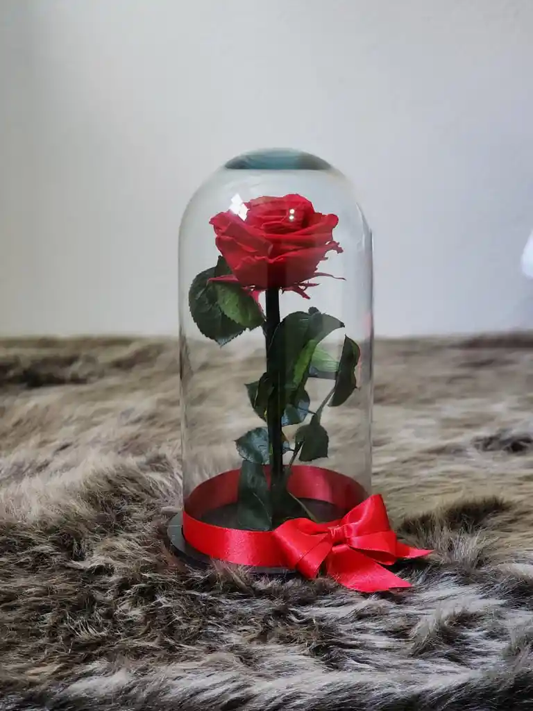 Rosa Preservada