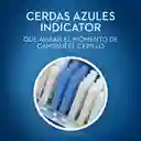 Oral-B Indicator Cepillo Dental