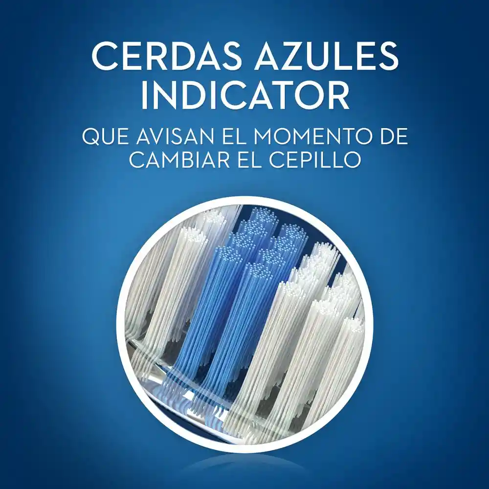 Oral-B Indicator Cepillo Dental