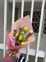Flores Tulipanes Surtidos Luxury