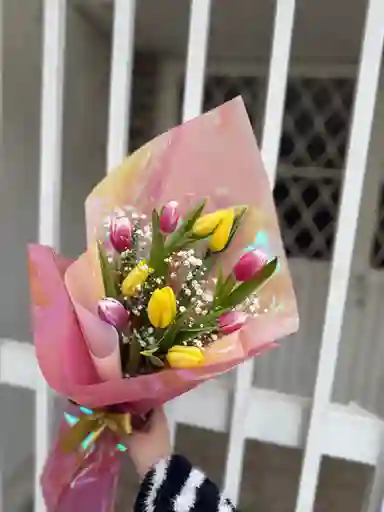 Flores Tulipanes Surtidos Luxury