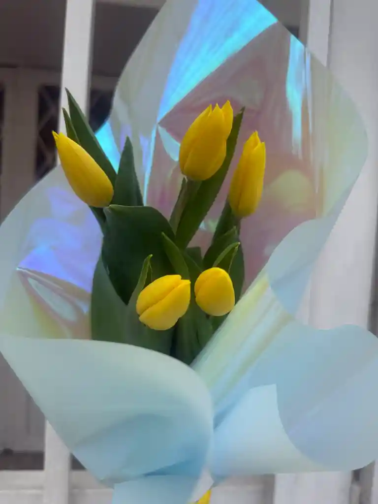 Flores Tulipanes X 5 Und Amarillos