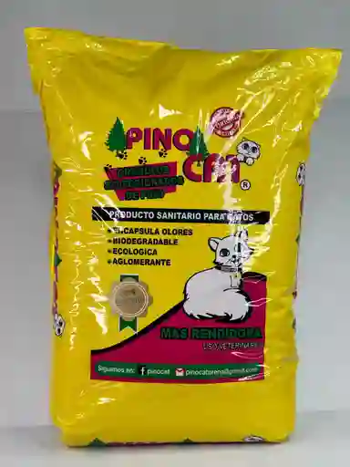 Arena Pino Cat 3.7k