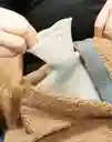 Bolsa De Agua Coco Mocca