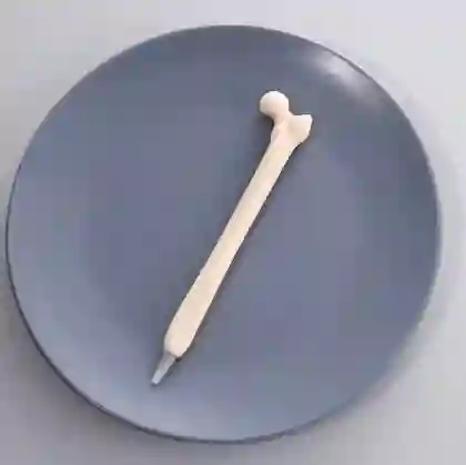 Lapicero Femur