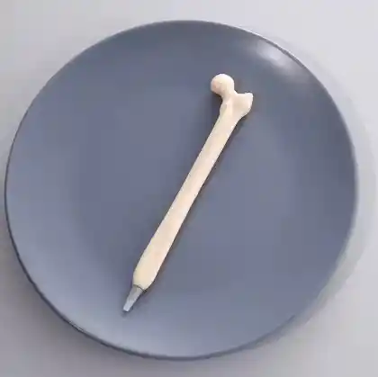 Lapicero Femur