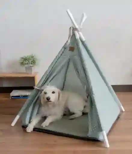 Teepe Pets Lorenzo Oliva 50x50