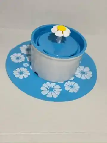 Fuente De Agua Con Tapete