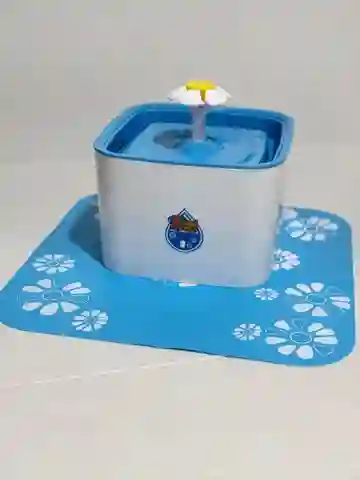 Fuente De Agua Con Tapete