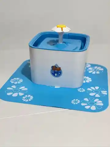 Fuente De Agua Con Tapete