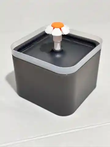 Fuente De Agua