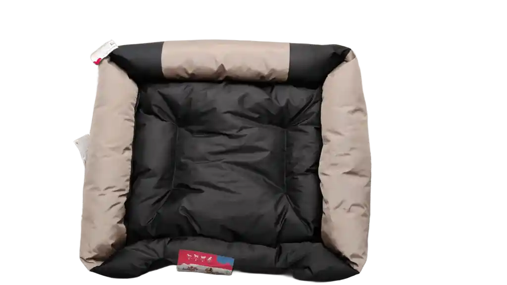 Cama Bite Lona Talla Xl (incluye Seguro Medico)