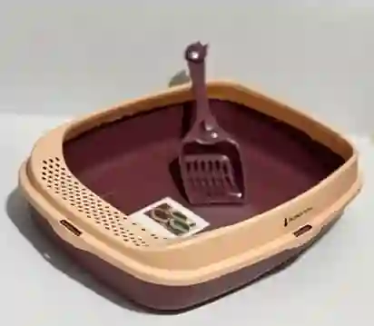 Arenero Con Pala